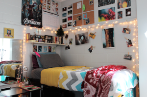 Hostel Room