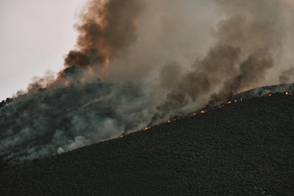Intense forest fire spreading across a mountainside with thick smoke billowing into the sky.